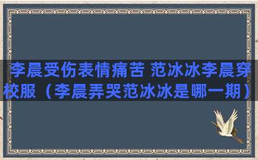 李晨受伤表情痛苦 范冰冰李晨穿校服（李晨弄哭范冰冰是哪一期）